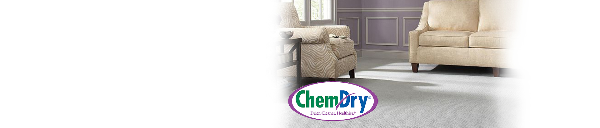 Professional Carpet Cleaning in Nashville